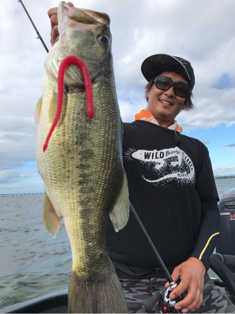 o0480064113996942243