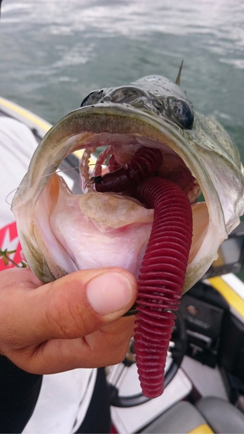 o0480085414005466980