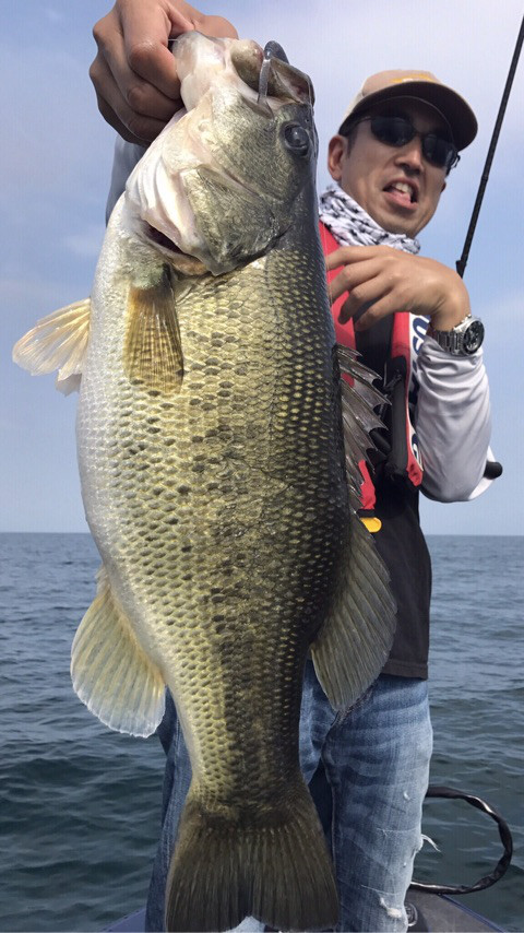 o0480085414015539285