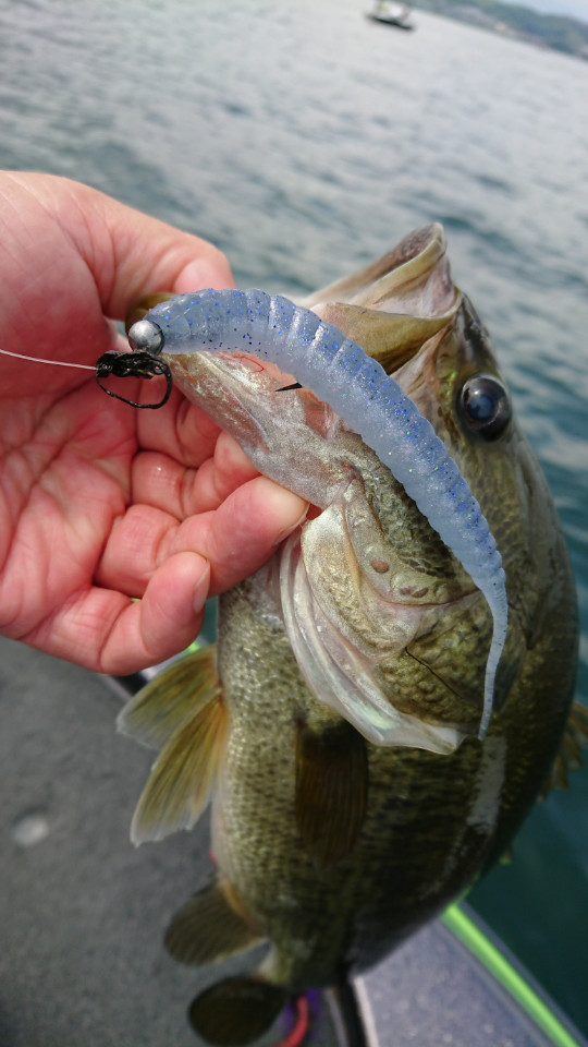 o0540096013995333381