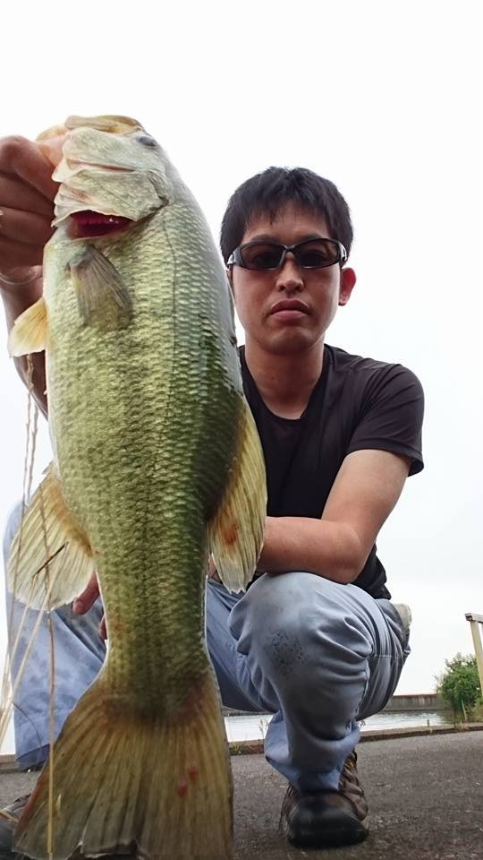 o0540096013998390577