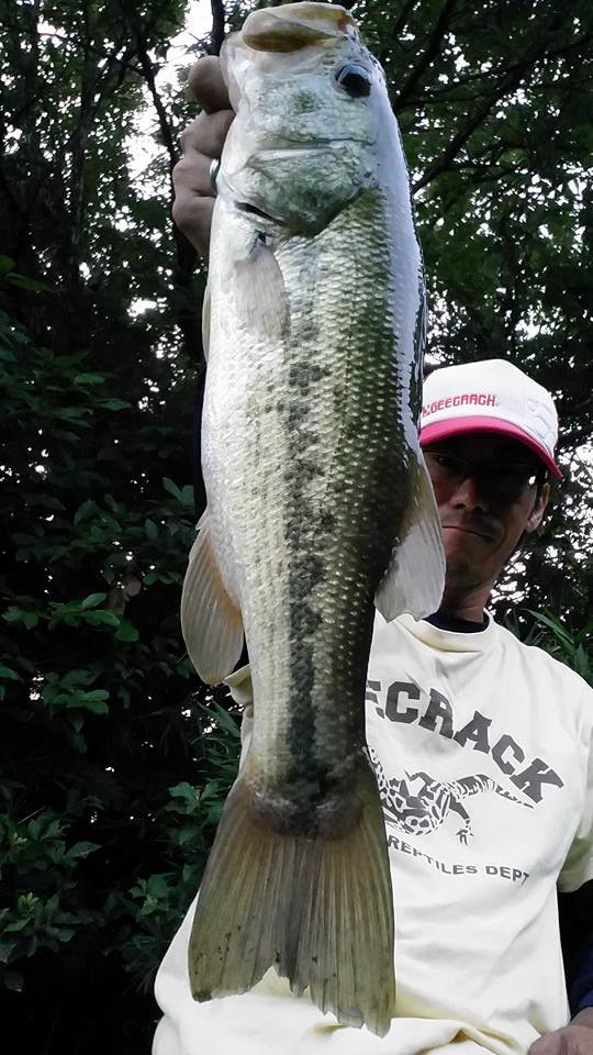 o0540096014000426754