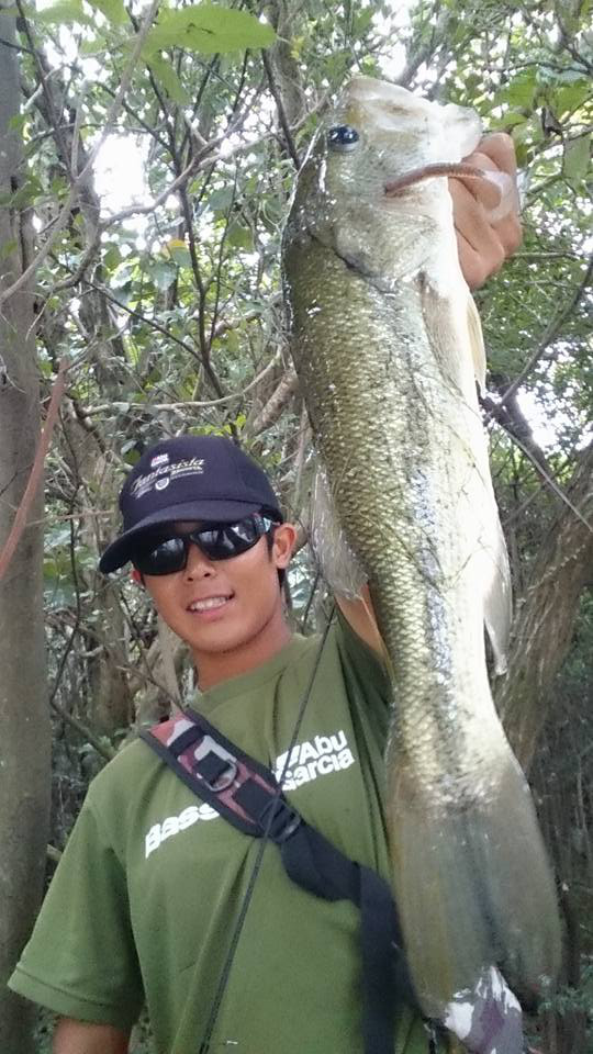 o0540096014008477875