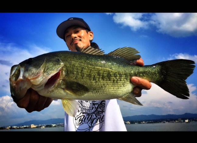 o0960069614002843948