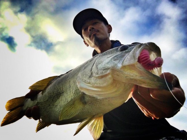 o0960072014008471711