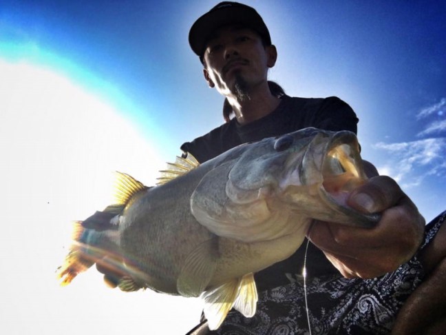 o0960072014008471714