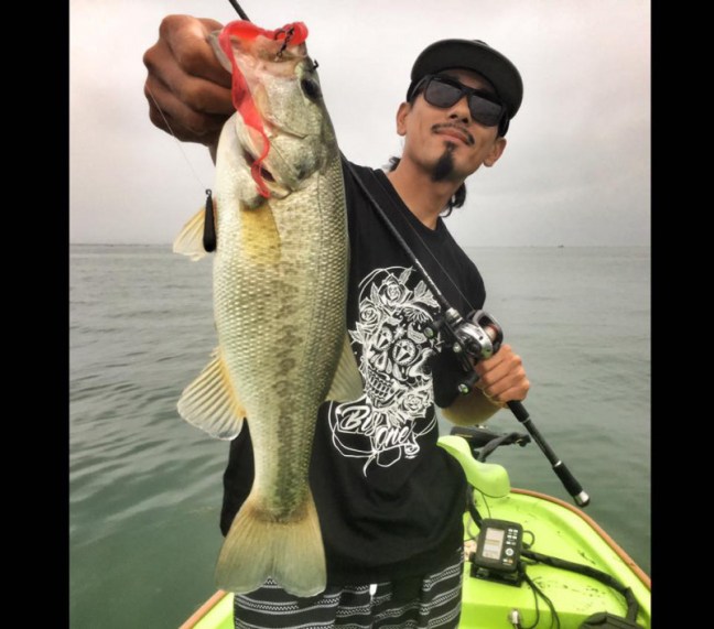 o0960084614005935833