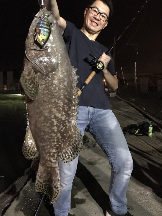 o1108147813990790862