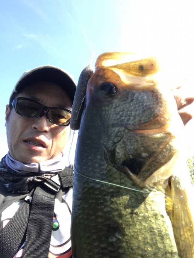 o1110147614012988766