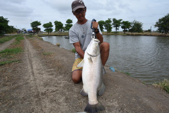 o1197080014000420574