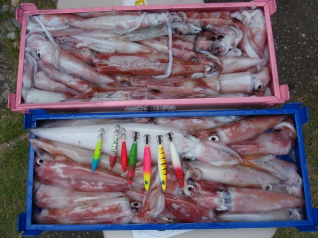 o1280095913998373382