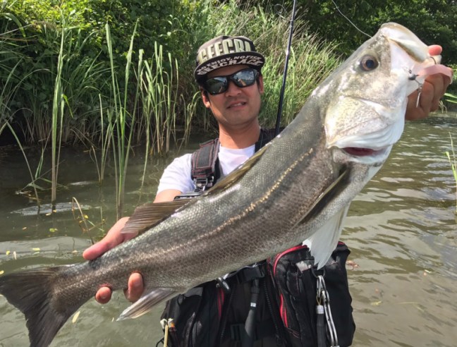 o1280097413995230549