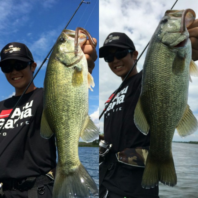 o1440144013998631983