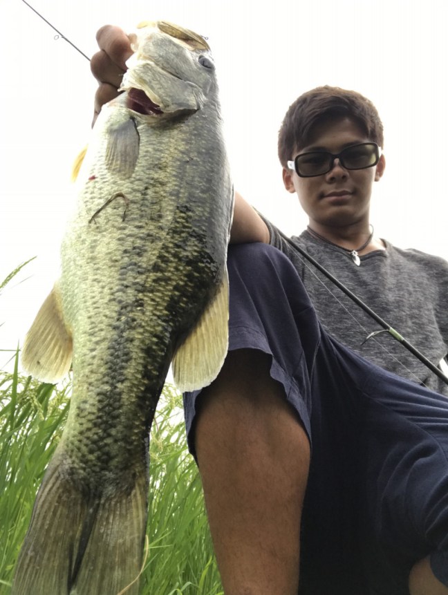 o2320308813998375312