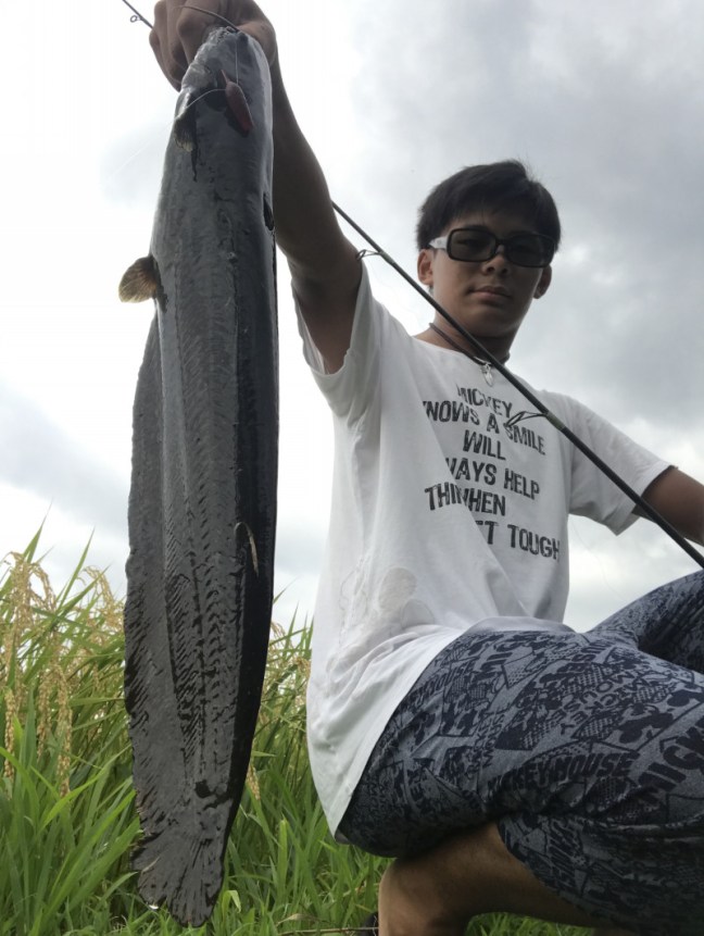 o2320308814014026725