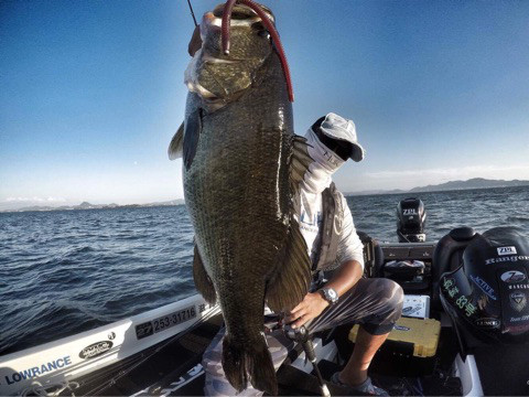 o0480036014020176519