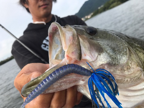 o0480036014027643292