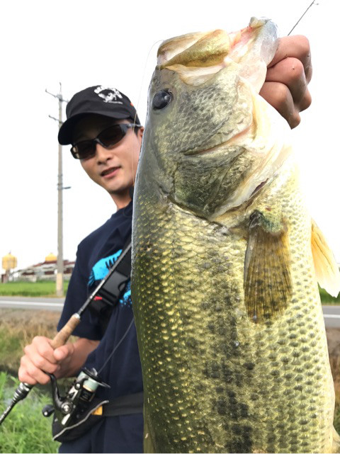 o0480064114015802267 (1)