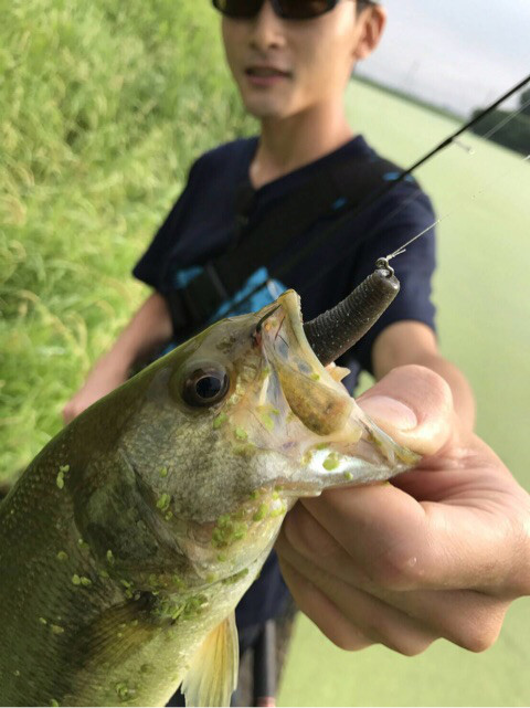 o0480064114018541495