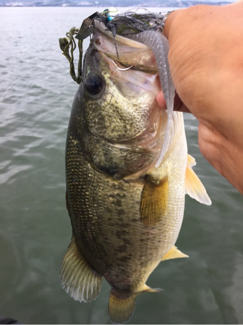 o0480064114022122379