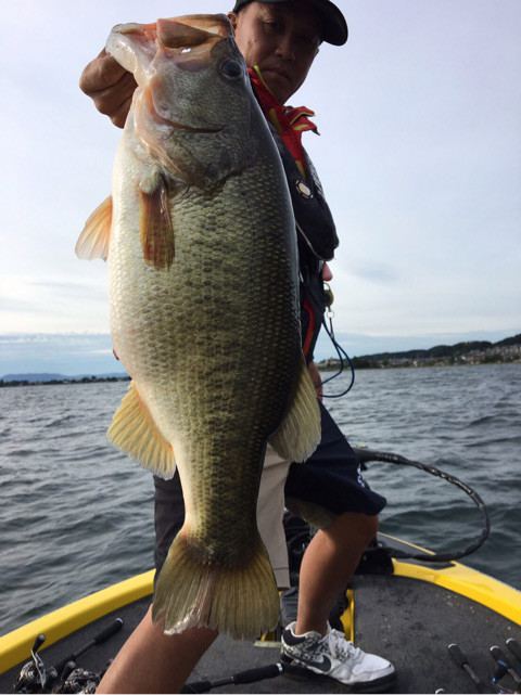 o0480064114029801339