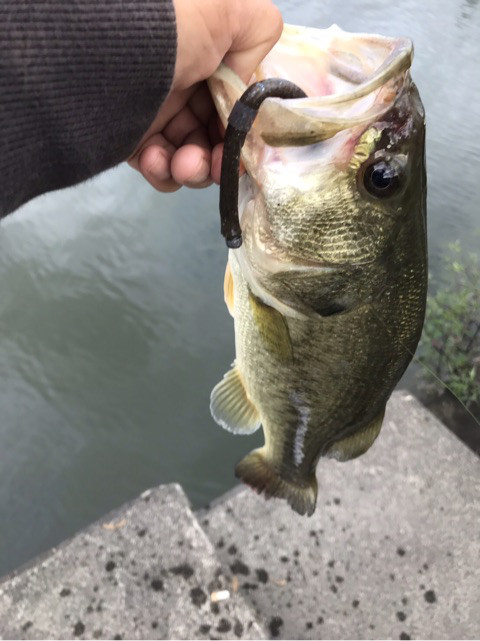 o0480064114030501729