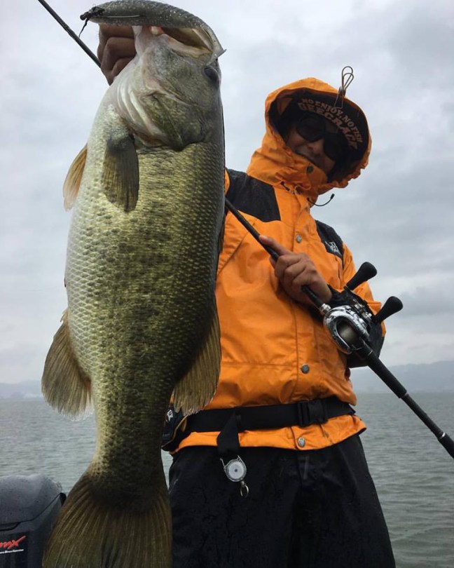 o0768096014029860591