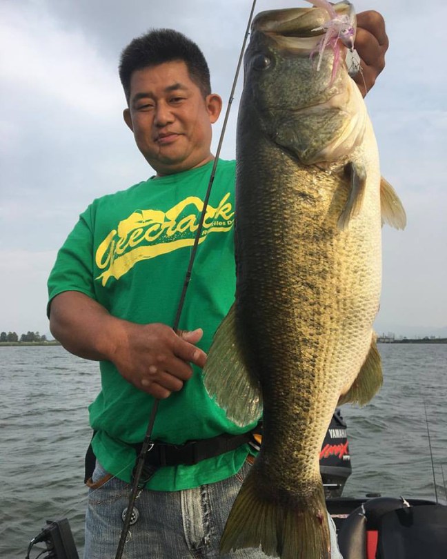 o0768096014031508205