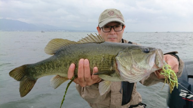 o0800045014028483398