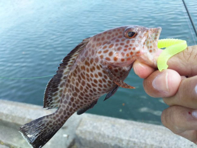 o0800060014024199277