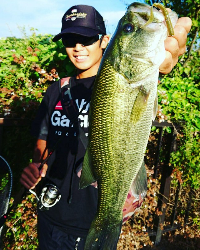 o0960120014019156441