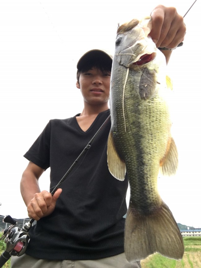 o1000133314024197677