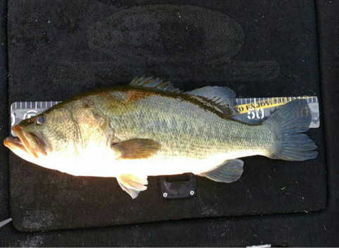 o0480035114046972015