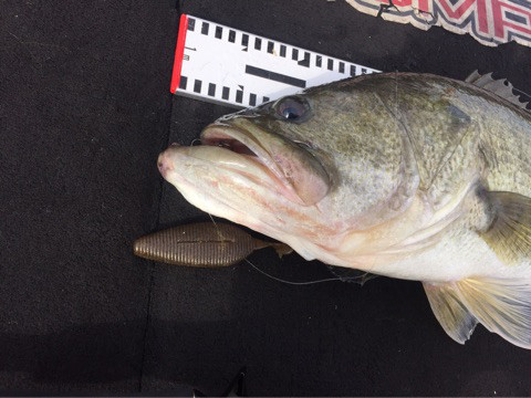 o0480036014038798610