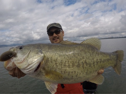 o0480036014041000060