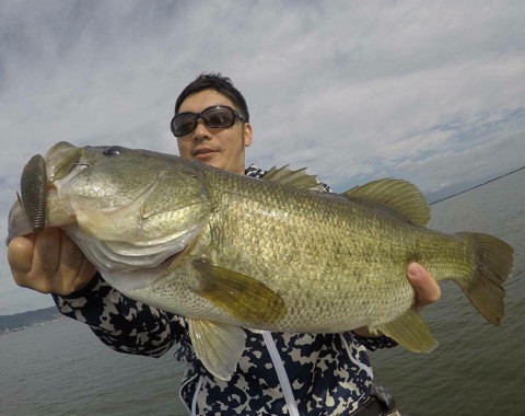 o0480038014038798600