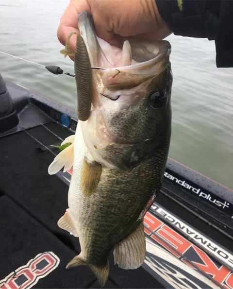 o0480059514045085188