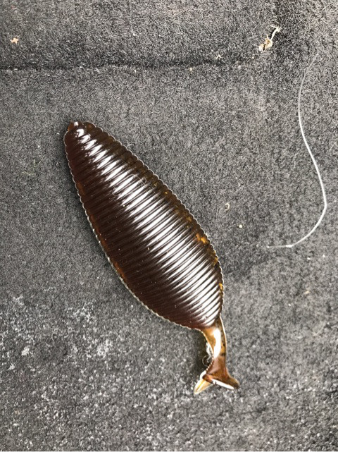 o0480064114036627958