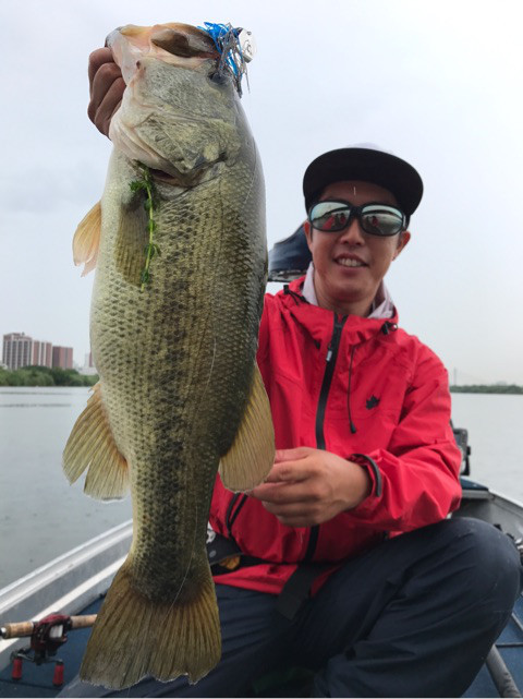 o0480064114042391082