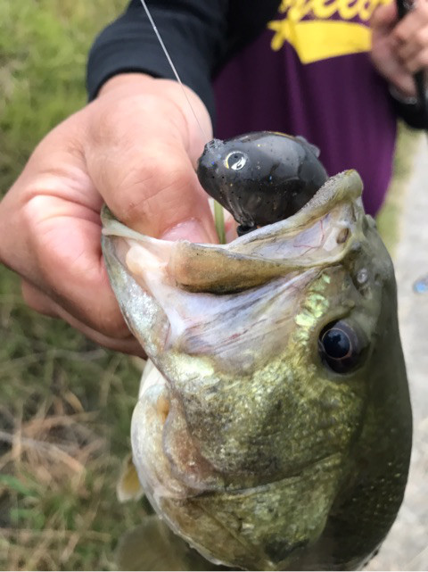 o0480064114047808539