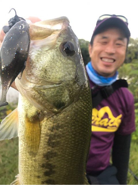 o0480064114048006418 (1)