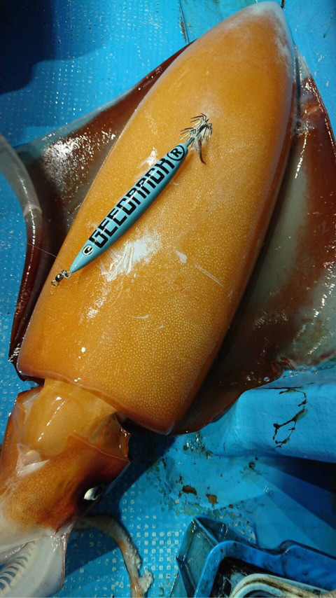 o0480085414044857629