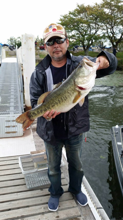 o0480085414048666321