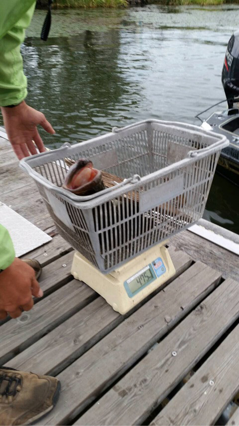 o0480085414048666339