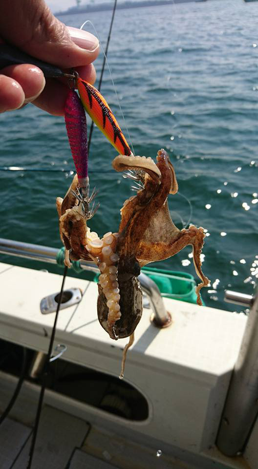 o0528096014041028787