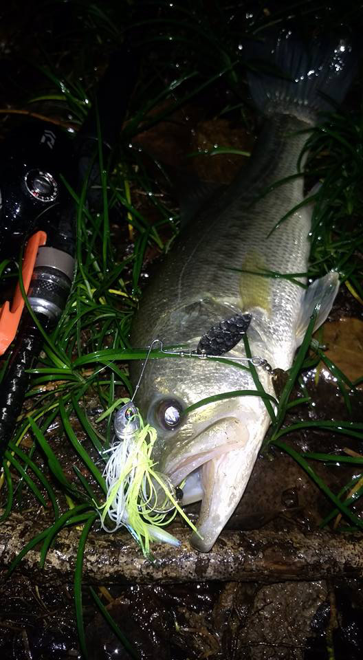 o0528096014056602376