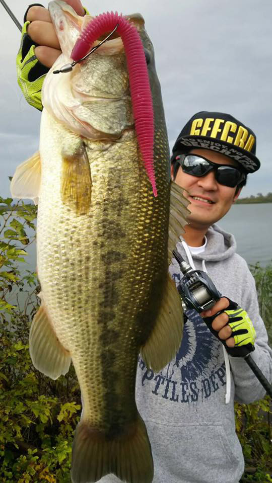 o0540096014041604520