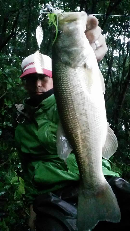 o0540096014056602372