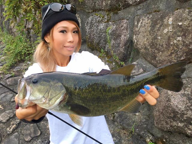 o0640048014041063741