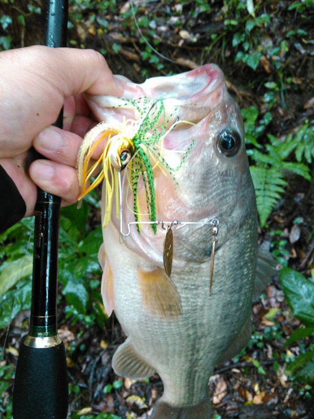 o0720096014052689702